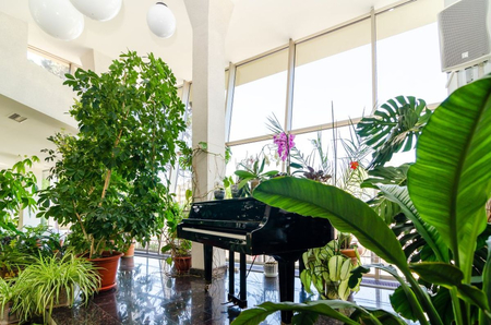 Санаторий «Электроника», Кисловодск, изображение 56