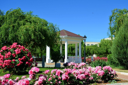 Санаторий «Сакрополь», Саки, изображение 116