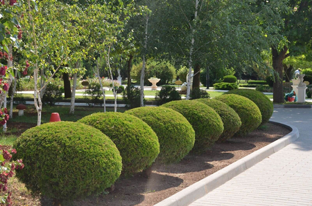 Санаторий «Сакрополь», Саки, изображение 122