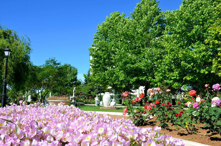Санаторий «Сакрополь», Саки, изображение 68