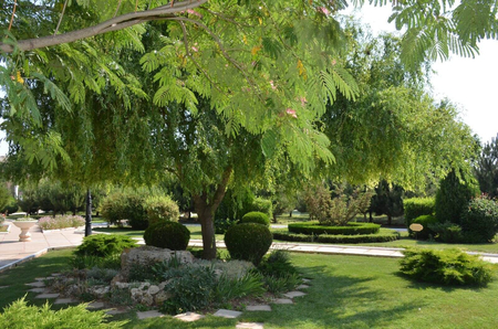 Санаторий «Сакрополь», Саки, изображение 59