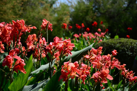 Санаторий «Ай-Петри», Ялта, изображение 30