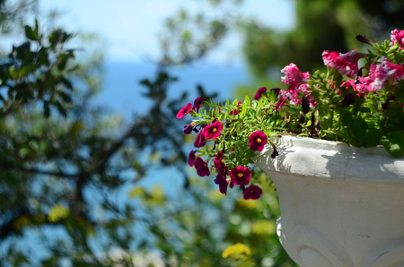 Санаторий «Ай-Петри», Ялта, изображение 34