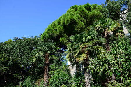 Санаторий «Ай-Петри», Ялта, изображение 36