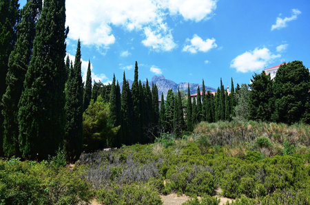 Санаторий «Ай-Петри», Ялта, изображение 37