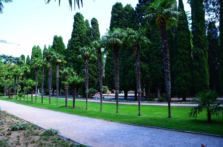 Санаторий «Ай-Петри», Ялта, изображение 45