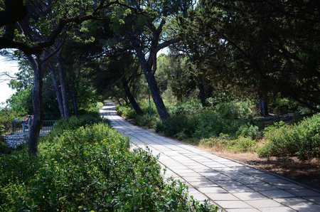 Санаторий «Ай-Петри», Ялта, изображение 47