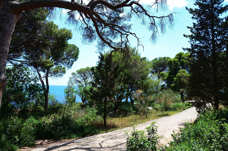 Санаторий «Ай-Петри», Ялта, изображение 49