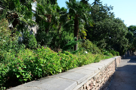 Санаторий «Ай-Петри», Ялта, изображение 59