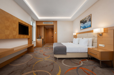 Номер Стандарт Double - Санаторий «Источник», Ессентуки - 2