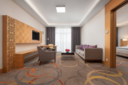 Номер Люкс - Санаторий «Источник», Ессентуки - 3