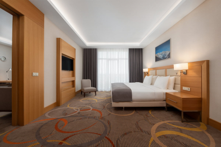 Номер Люкс - Санаторий «Источник», Ессентуки - 2