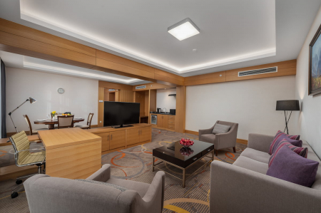 Номер Аппартамент - Санаторий «Источник», Ессентуки - 4