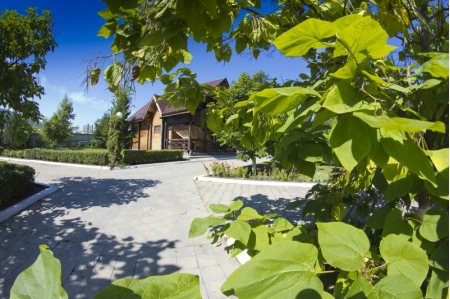 Санаторий «Машук Аква-Терм», Железноводск, изображение 69