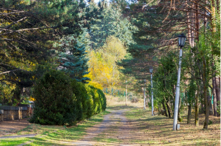 Санаторий «Пикет», Кисловодск, изображение 54
