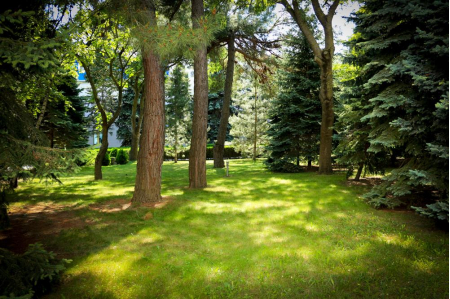 Санаторий «Родник», Анапа, изображение 53