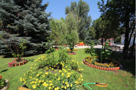 Санаторий «Родник», Анапа, изображение 19