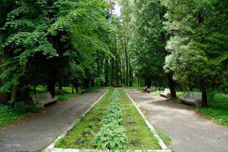 Санаторий «имени Горького», Московская обл., изображение 18