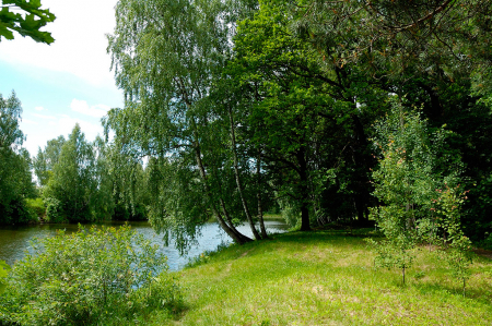 Санаторий «имени Горького», Московская обл., изображение 23