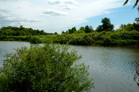 Санаторий «имени Горького», Московская обл., изображение 41