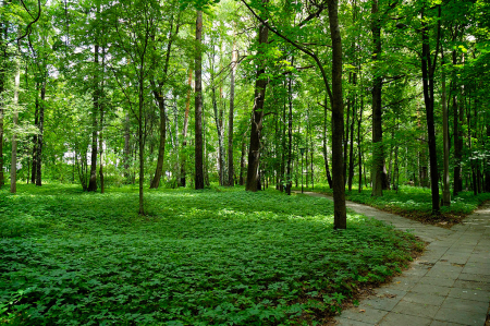 Санаторий «имени Горького», Московская обл., изображение 45