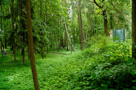 Санаторий «имени Горького», Московская обл., изображение 24