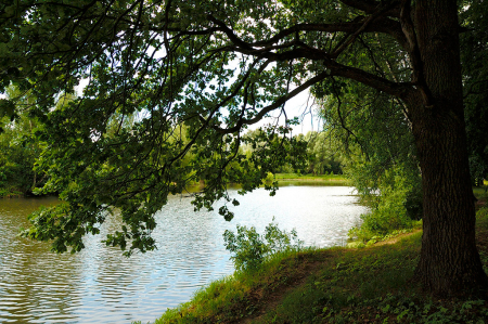Санаторий «имени Горького», Московская обл., изображение 26