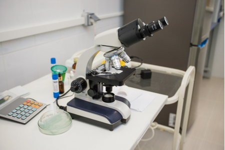 Санаторий «Каникулы в Аксаково» ФНС, Московская обл., изображение 52 Санаторий «Каникулы в Аксаково» ФНС, Московская обл., изображение 52