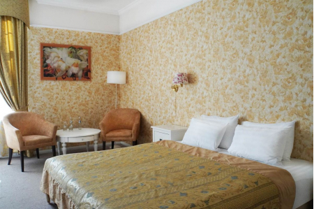 Номер Standard - SPA-отель «Гранд Велнес Новахово», Московская обл - 3