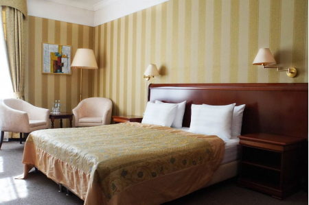 Номер Standard - SPA-отель «Гранд Велнес Новахово», Московская обл - 4