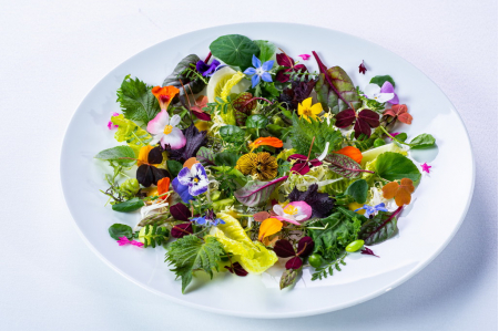 SPA-отель «Барвиха», Московская обл, изображение 23