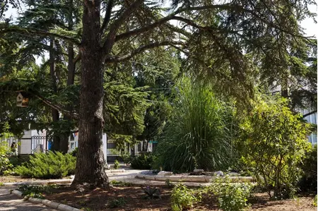 Санаторий «Прибой», Евпатория, изображение 76