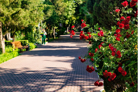 Санаторий «Золотой берег», Евпатория, изображение 24