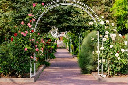 Санаторий «Золотой берег», Евпатория, изображение 22