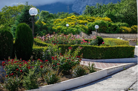 Санаторий «Белоруссия», Ялта, изображение 17