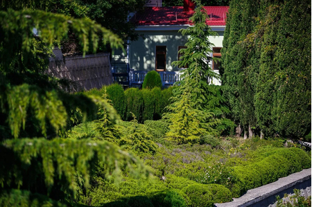 Санаторий «Белоруссия», Ялта, изображение 19