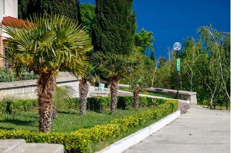 Санаторий «Белоруссия», Ялта, изображение 20