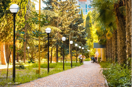 Санаторий «Славутич», Алушта, изображение 36