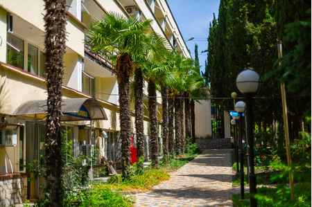 Санаторий «Славутич», Алушта, изображение 45