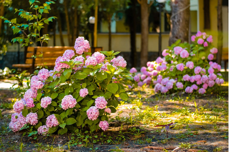 Санаторий «Славутич», Алушта, изображение 102