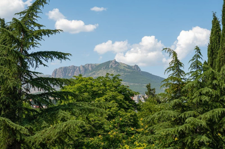 Санаторий «Славутич», Алушта, изображение 103