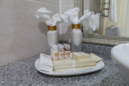 Номер Двухместный с раздельными кроватями - SPA-отель «Рафаэль», Железноводск - 6