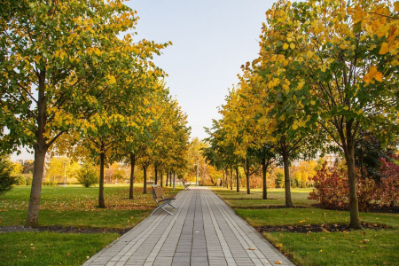 Санаторий «Русь», Ессентуки, изображение 16 Санаторий «Русь», Ессентуки, изображение 16