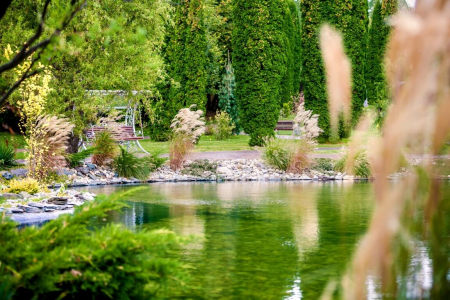 Санаторий «Заря», Кисловодск, изображение 33