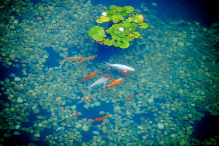 Санаторий «Заря», Кисловодск, изображение 17