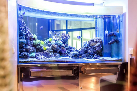 Санаторий «Заря», Кисловодск, изображение 43