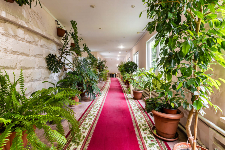 Санаторий «Лермонтова», Пятигорск, изображение 120 Санаторий «Лермонтова», Пятигорск, изображение 120