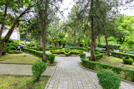 Санаторий «Лермонтова», Пятигорск, изображение 135 Санаторий «Лермонтова», Пятигорск, изображение 135