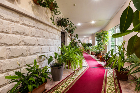 Санаторий «Лермонтова», Пятигорск, изображение 106 Санаторий «Лермонтова», Пятигорск, изображение 106