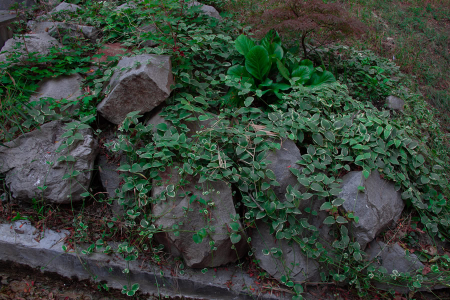 Санаторий «Галерея Палас», Пятигорск, изображение 54